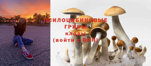 spice Алексеевка