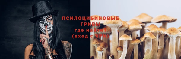 spice Алексеевка