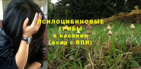 бошки Абдулино